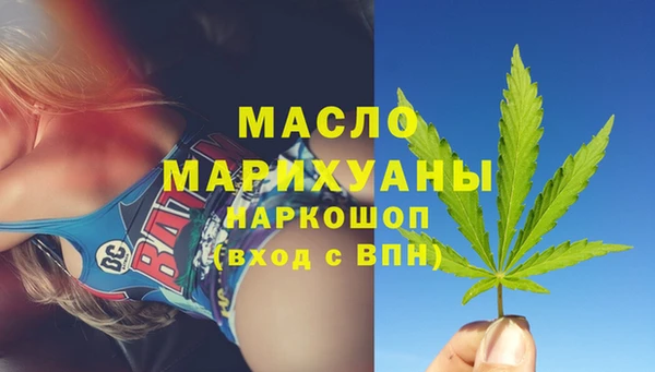 тгк Абаза