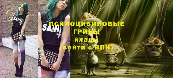 тгк Абаза
