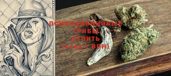 тгк Абаза