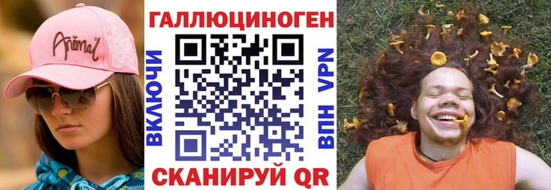 где найти   Абаза  Псилоцибиновые грибы ЛСД 